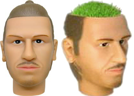 Product of the Day: David Beckham Chia Head